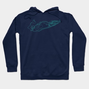 Lake Erie Hoodie